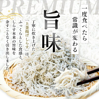 【定期便3～12回】釜揚げしらす 1kg(500g×2箱) 冷凍 箱入り 惣菜 弁当 便利 ランキング 減塩 無添加 無着色 ご飯 ごはん しらす 国産 カネ成